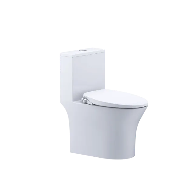 Bồn cầu kết hợp nắp cơ đa năng Caesar C1391F + TAF060