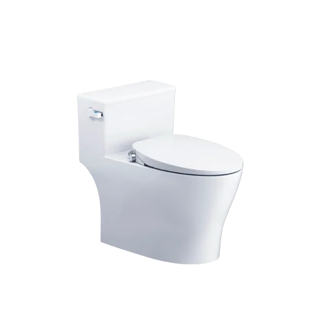 Bồn cầu kết hợp nắp cơ đa năng Caesar C1393F + TAF060