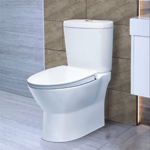Bồn cầu 2 khối Caesar CD1320