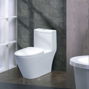 Bồn cầu liền 1 khối Caesar CD1363