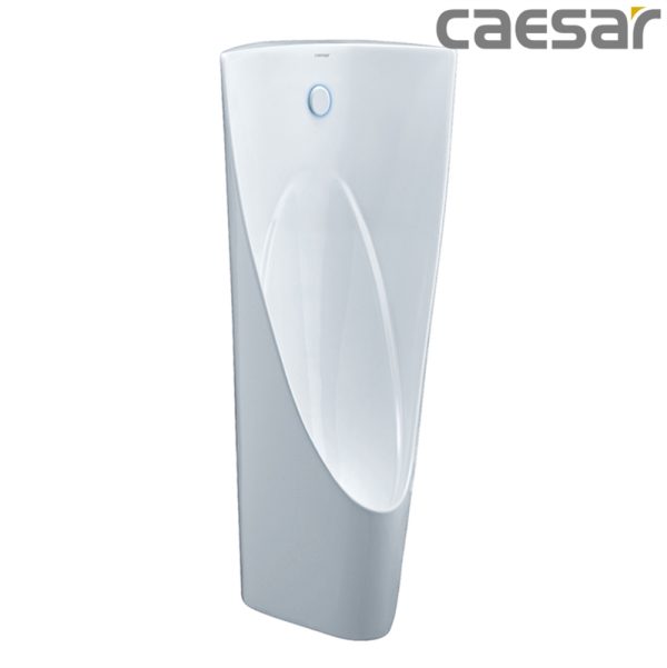 big bon tieu nam dat san caesar ua0237 77dfebcaef6e40dda649e5d460765868