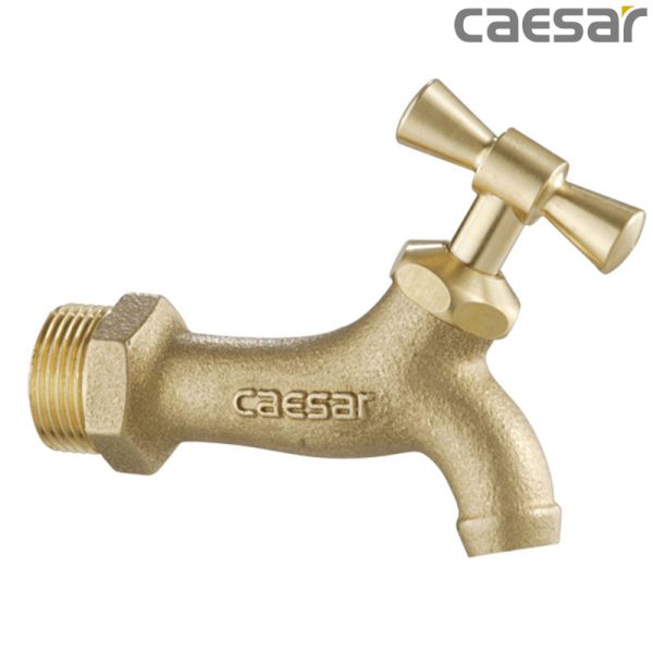 big voi nuoc caesar w034 f4bc264c684347a694ee03be5e9609fc