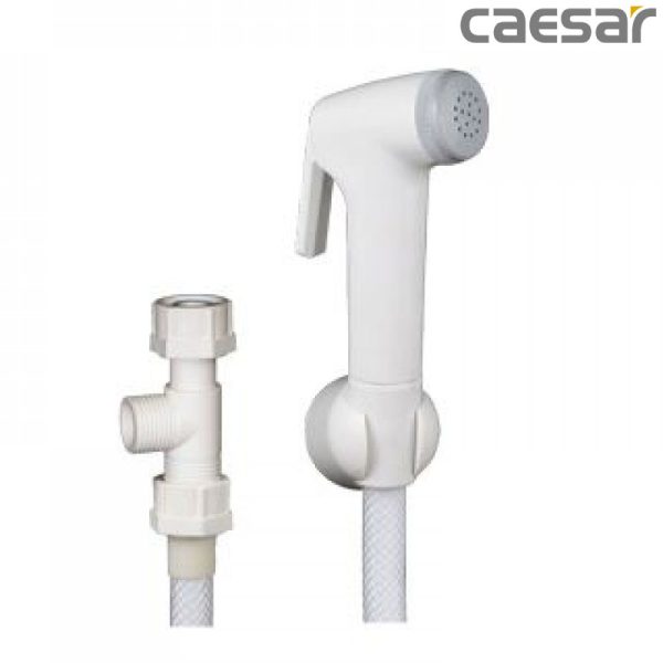 big voi xit ve sinh bon cau caesar bs304a c85478fa3229473a97c10446773cb778